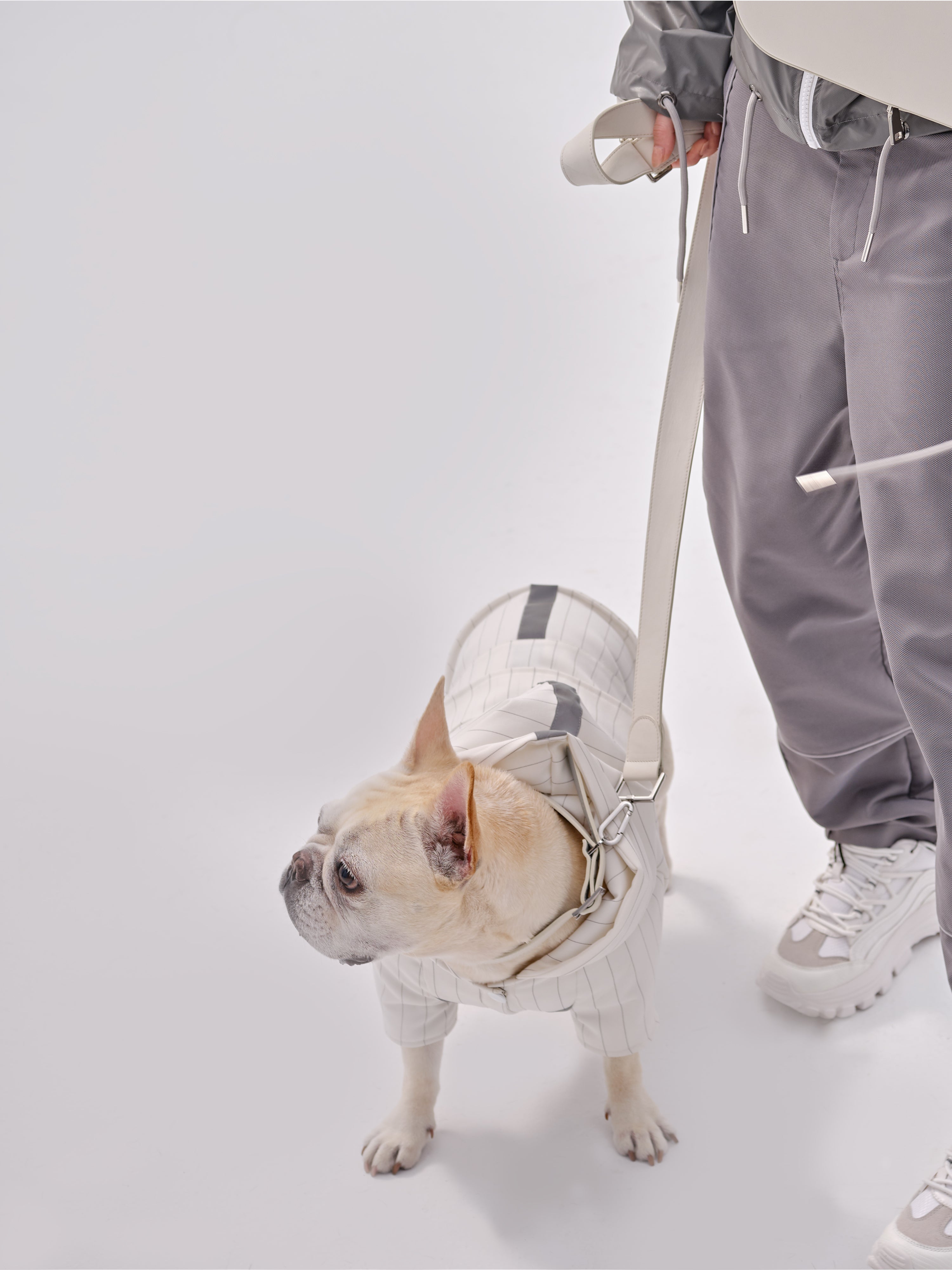 Andersen Calfskin Pet Collar